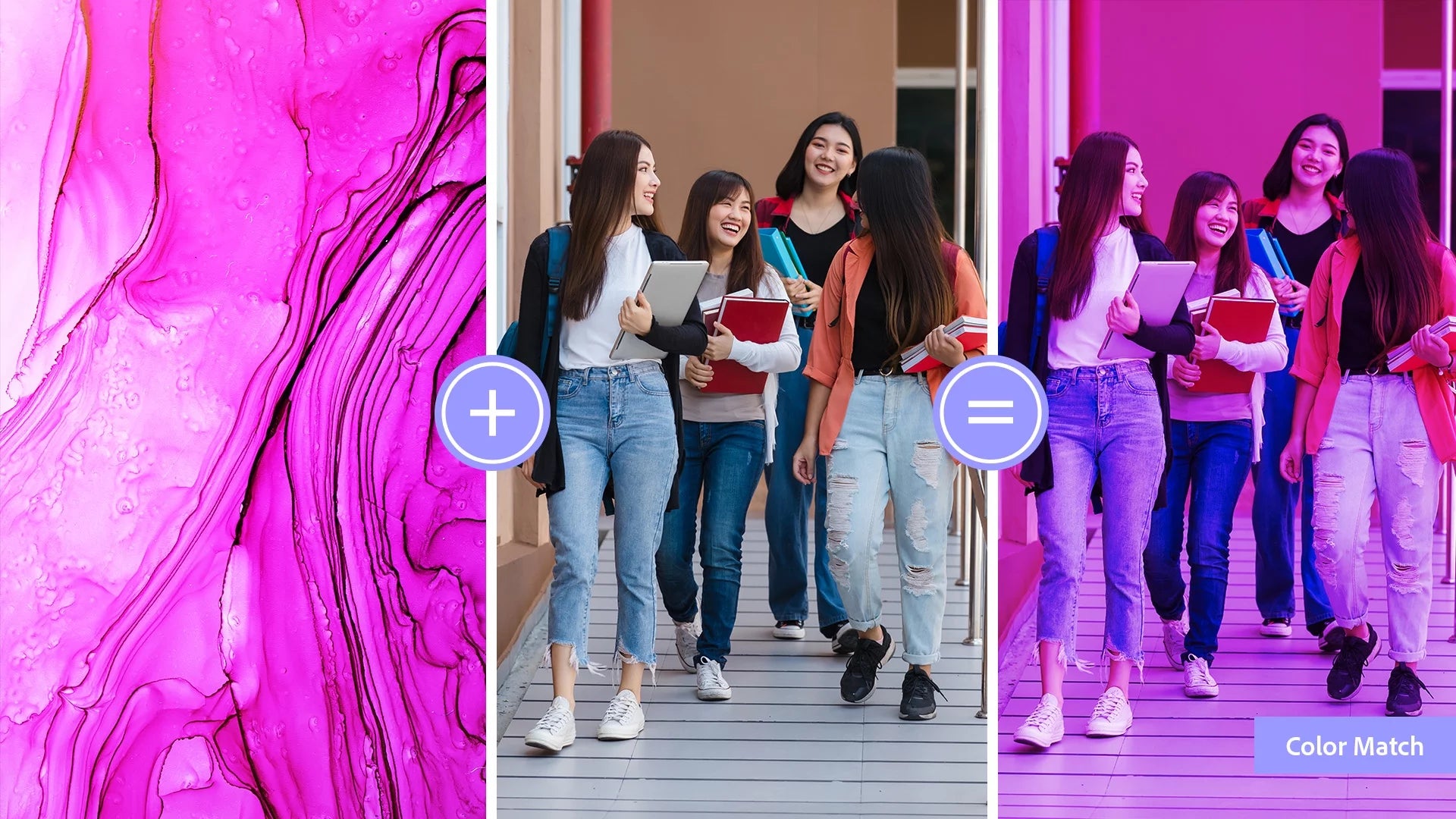 Photoshop Elements 2024 & Premiere Elements 2024 for Windows U619