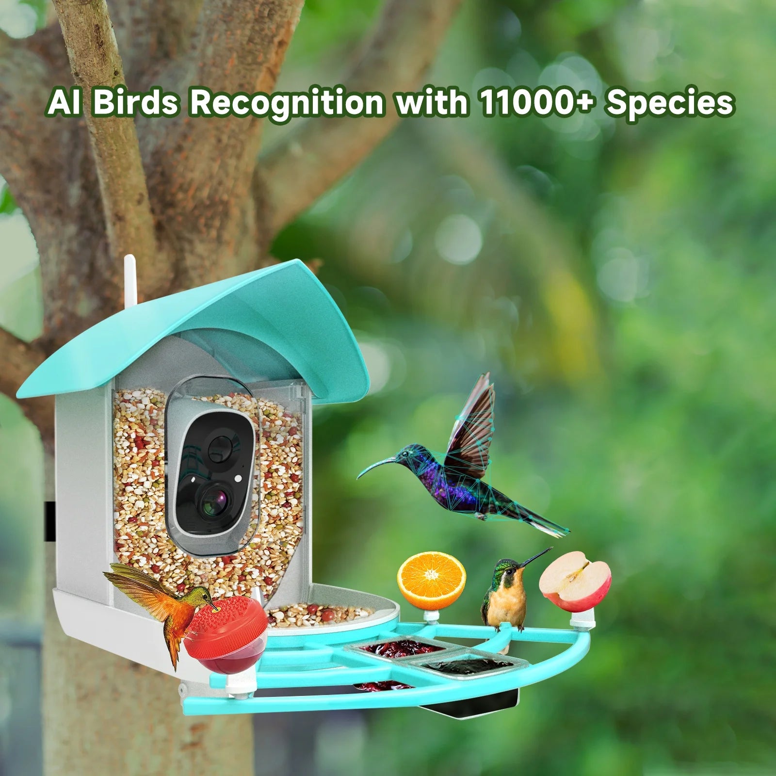 Smart Bird Feeder with Camera, Solar Powered, AI Bird Recognition O61781