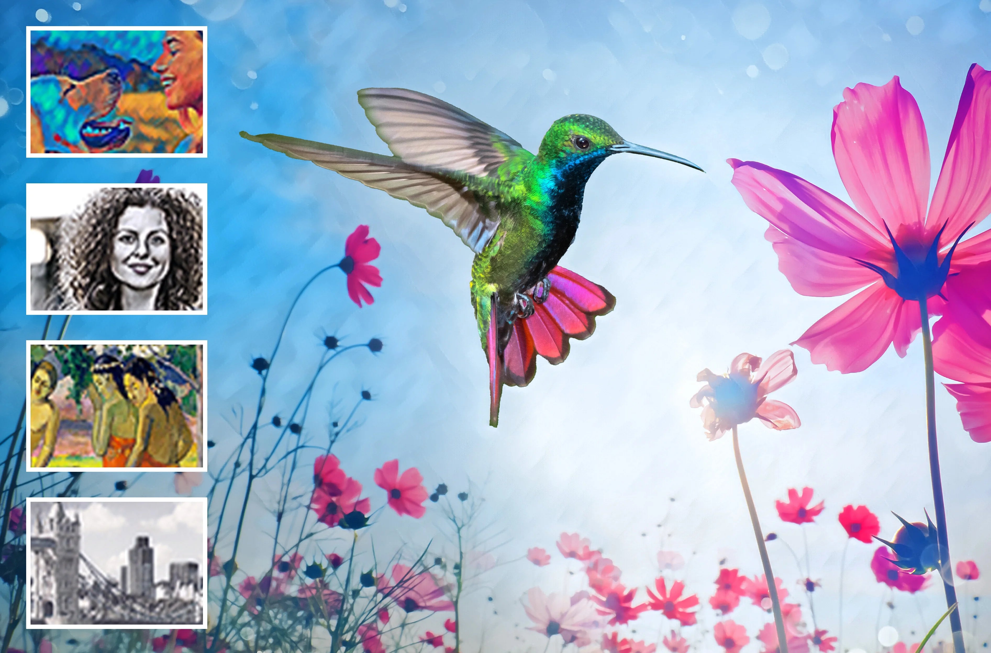 Photoshop Elements 2024 & Premiere Elements 2024 for Windows U619