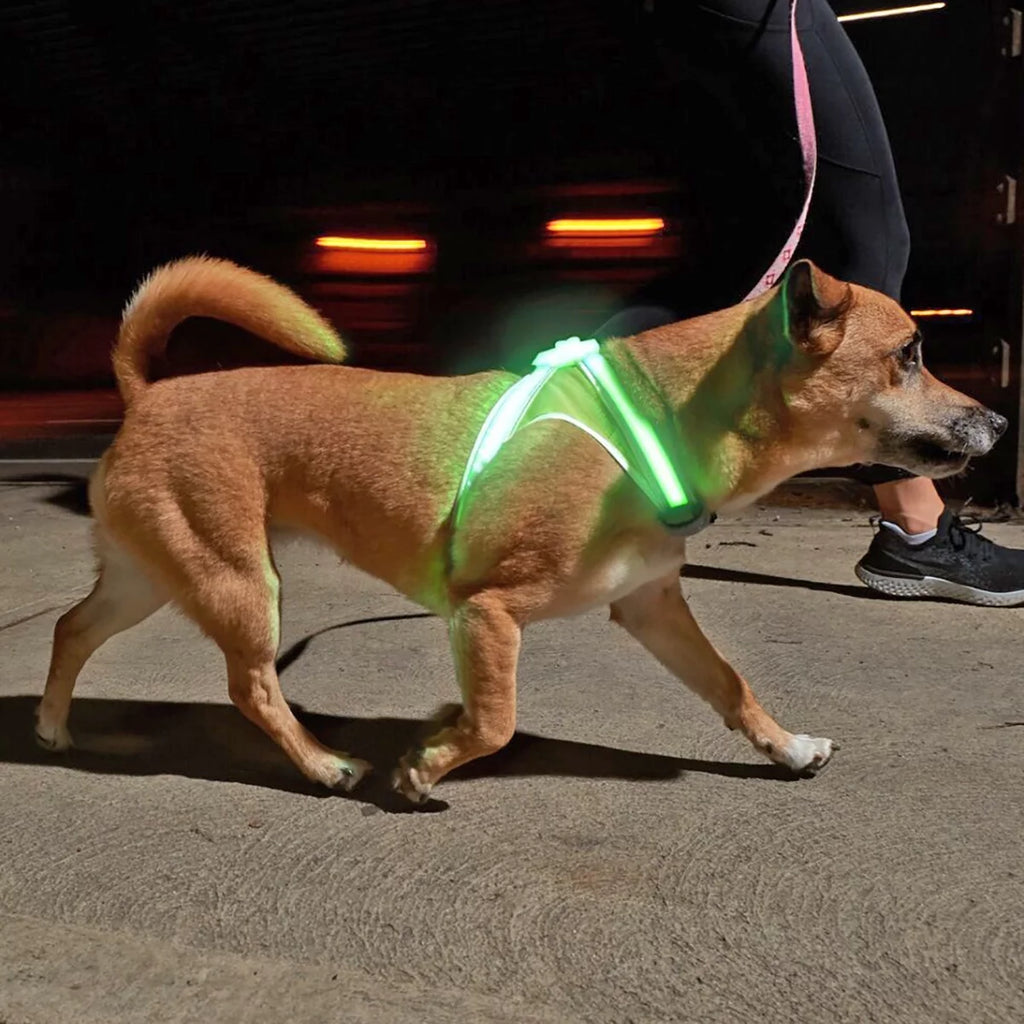 Reflective LED Dog Harness - XL M508