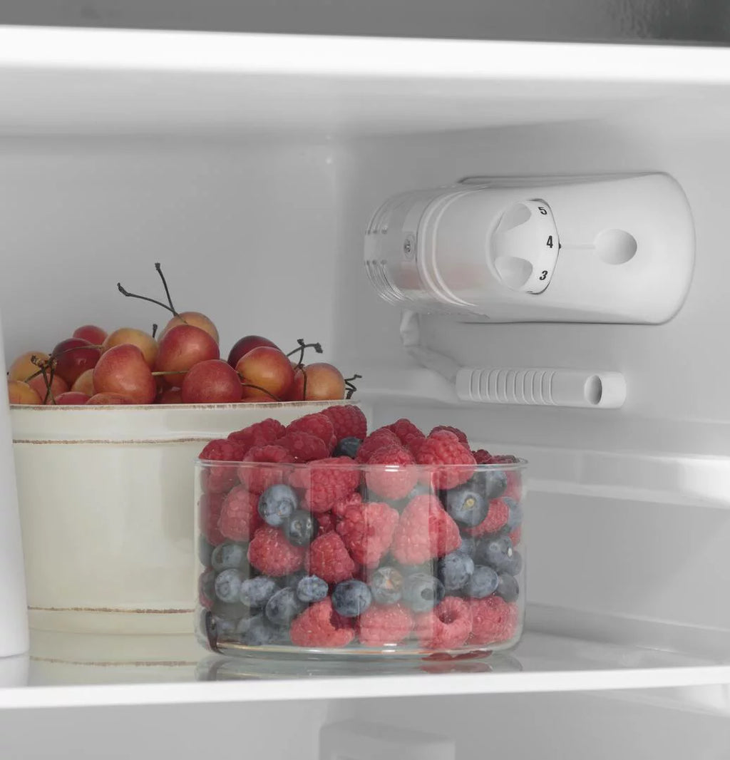 9.8 Cu. Ft. 12 Volt DC Top-Freezer Refrigerator G844060