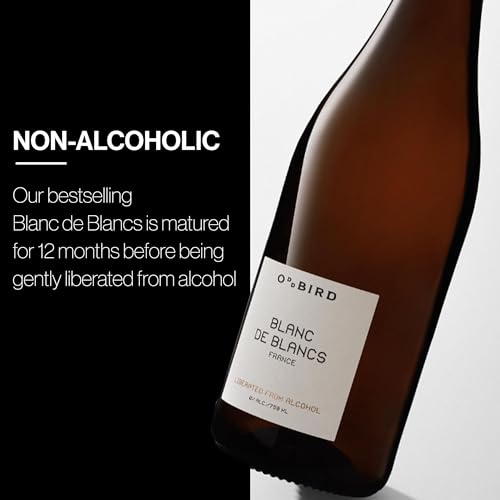 Non-Alcoholic Red Wine, Earthy with Fruity Notes, 25 Fl Oz J479646