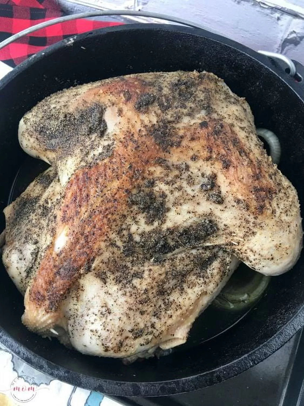 Cast Iron 5 Quart Dutch Oven with Bail Handle E473798