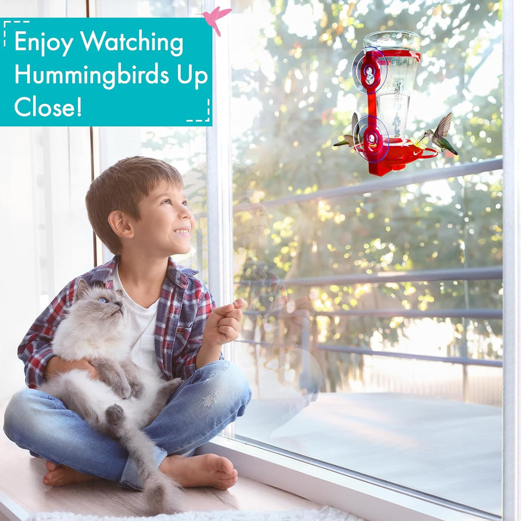 Window Hummingbird Feeder for Outdoors, Large Capacity, Easy to Clean D137