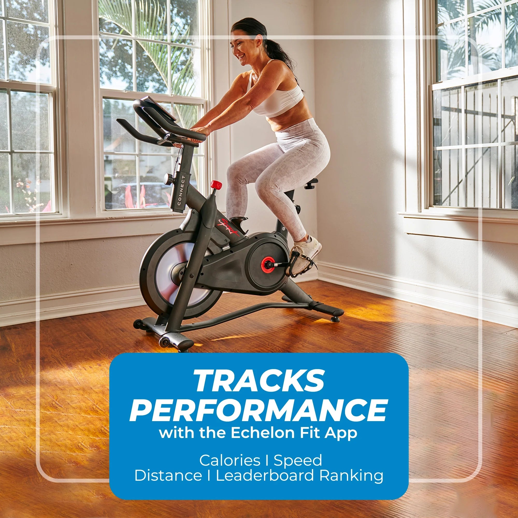 Indoor Cycling Exercise Bike T3799