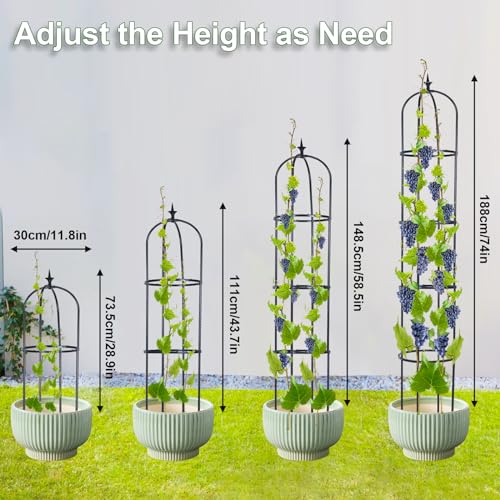Garden Obelisk Trellis for Climbing Plants, 6ft, Indoor and Outdoor Y75654