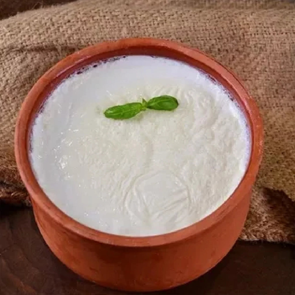 Glazed Terracotta Yogurt Pot, 2.5 qt P215860