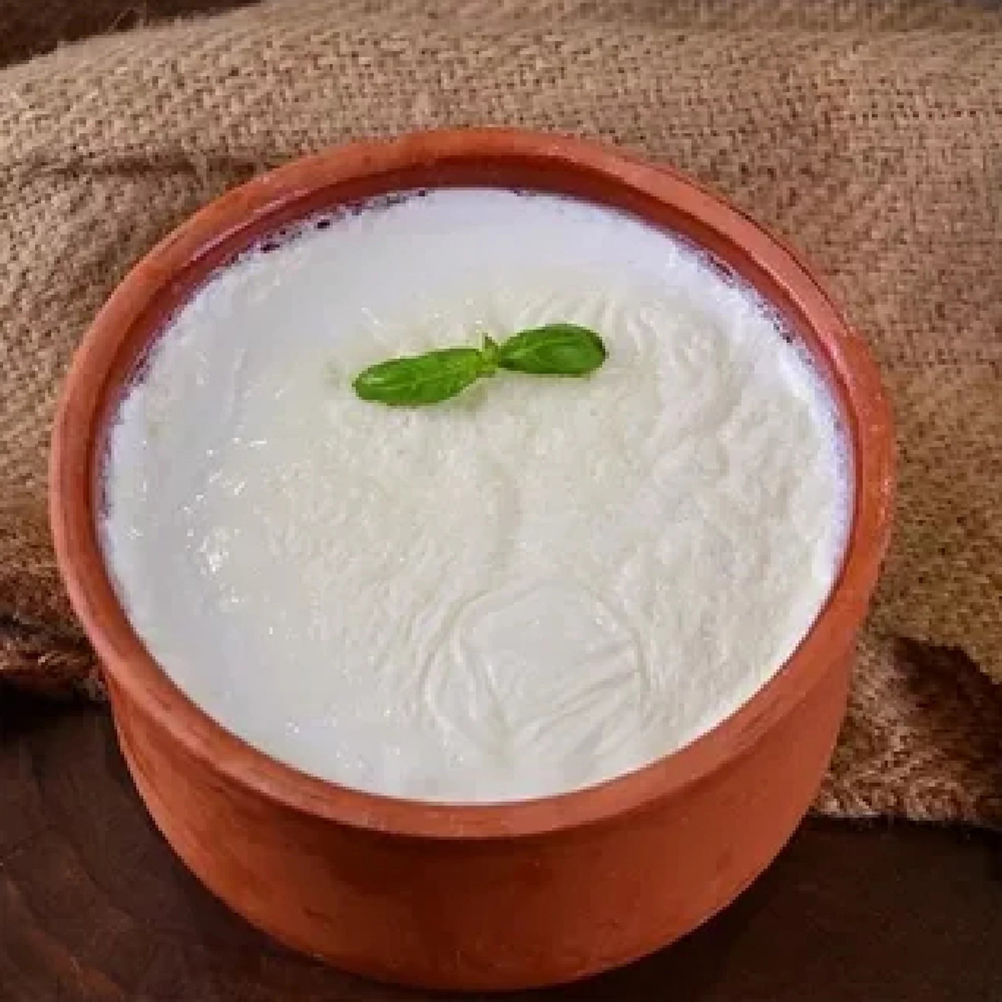 Glazed Terracotta Yogurt Pot, 2.5 qt P215860