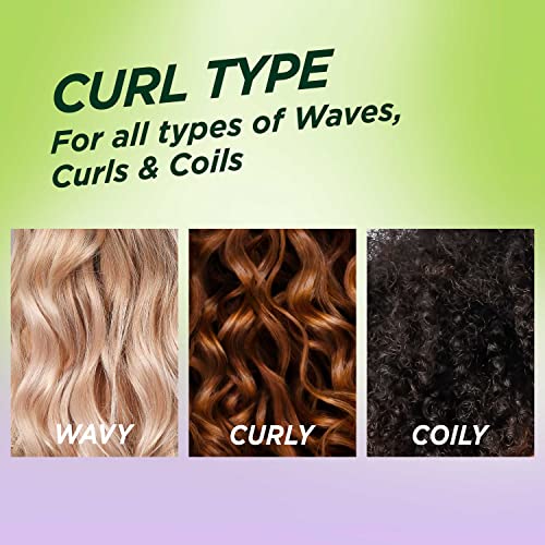 Curl Scrunch Controlling Gel for Shape & Shine, 6.8 Fl Oz, 3 Count Y66139