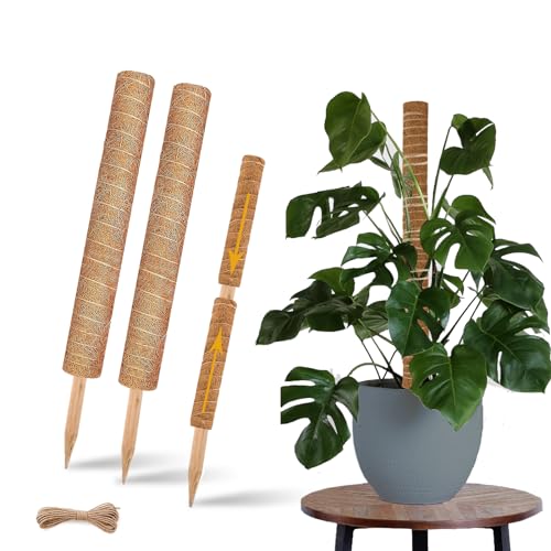 Moss Pole for Climbing Plants, 2 Pack 17 Inch, Indoor Plant Support Stakes W995559