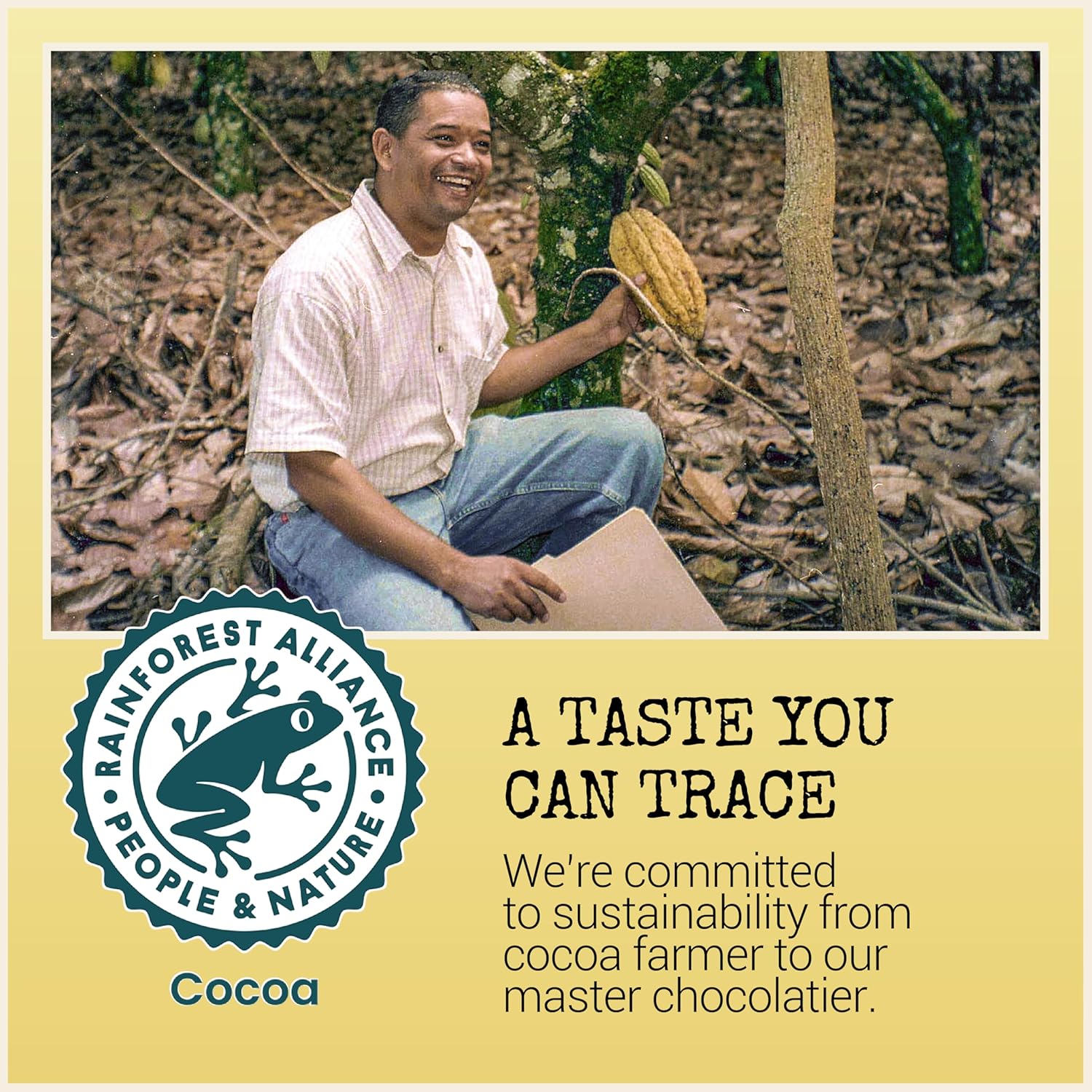 Dark Chocolate Bars 55% Cocoa, 3.2oz, 12 Pack M2800