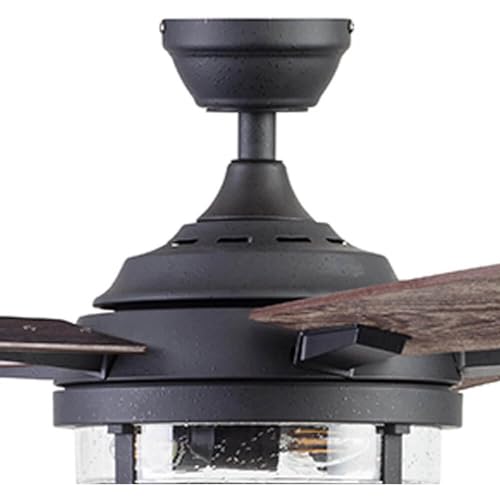 52 Inch Indoor Outdoor LED Ceiling Fan with Light and Remote Control K119