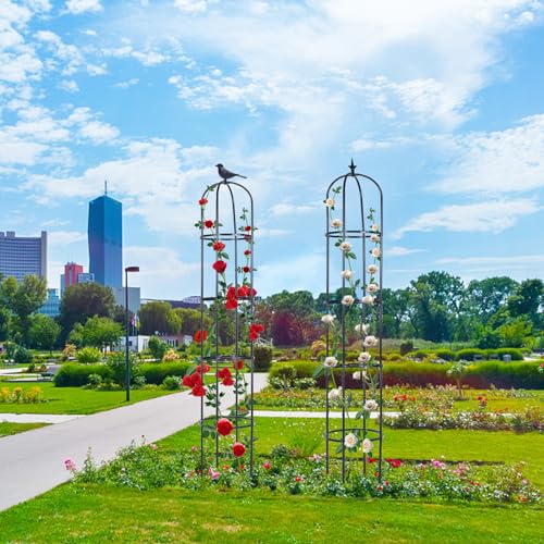Garden Obelisk Trellis for Climbing Plants, 6ft, Indoor and Outdoor Y75654